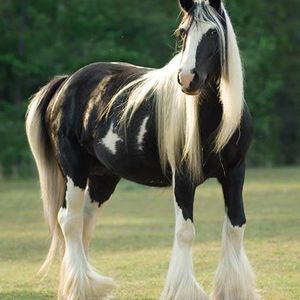 Meet your Posher, Tina